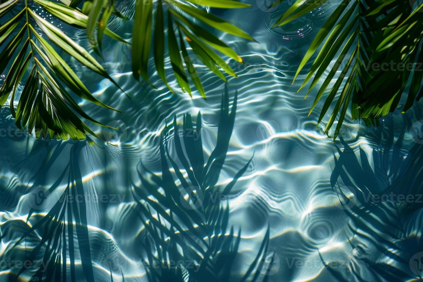 Water with palm leaves and water reflection photo