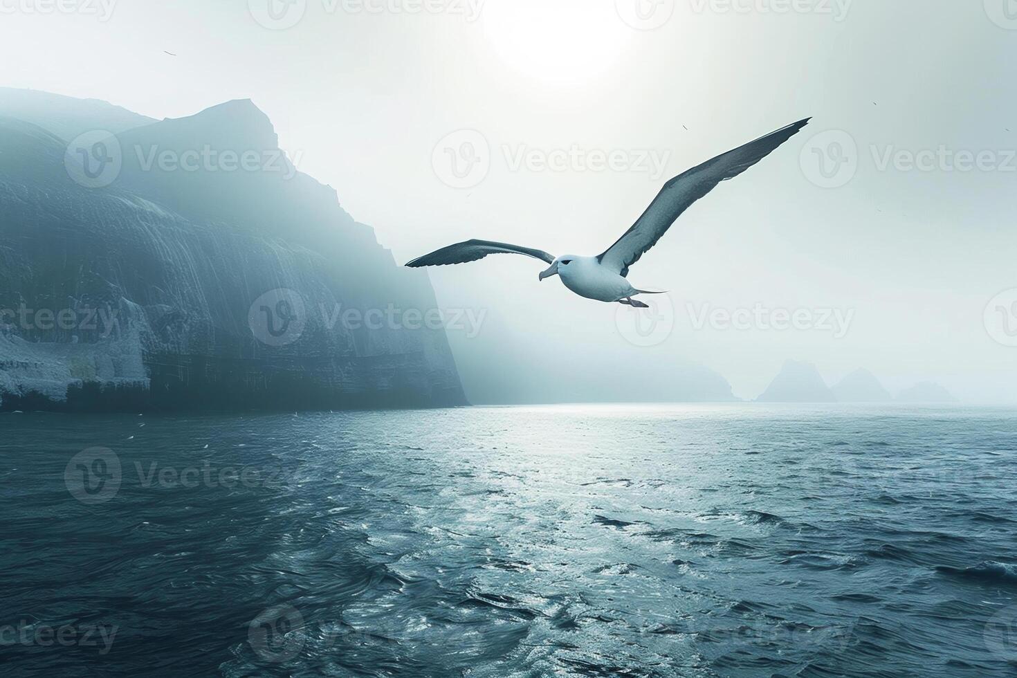 A seagull is flying over the ocean photo