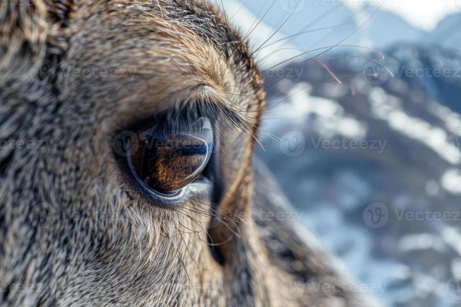 The close-up reveals a deer eye with intricate detail, reflecting a beautiful snowy mountain backdrop. The setting captures the tranquility of wildlife in nature photo