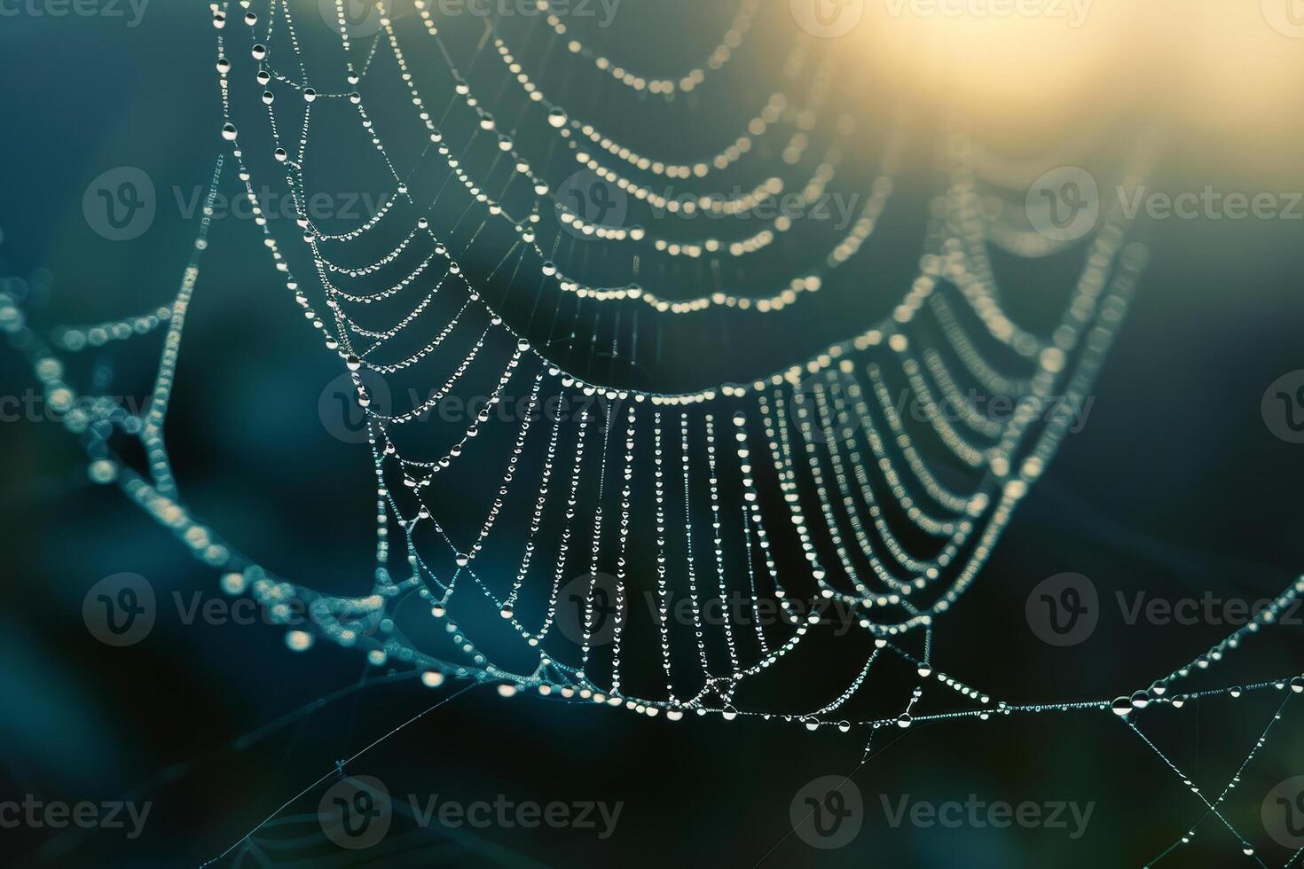 A fragile spiderweb catches the soft morning light, sparkling with dew droplets, showcasing nature's intricate artistry in a serene outdoor setting photo