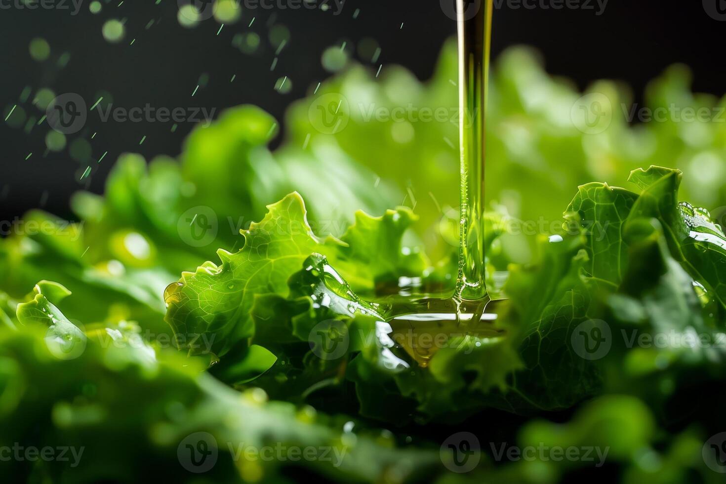 Fresh green lettuce sits in a bowl as olive oil is drizzled over it, adding a flavorful touch to the leafy greens. This preparation is perfect for a healthy meal photo
