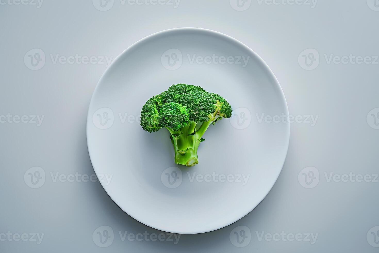 A single piece of fresh broccoli rests atop a plain white plate, highlighting its rich green color and detailed florets against a neutral background, ideal for healthy meal inspiration photo