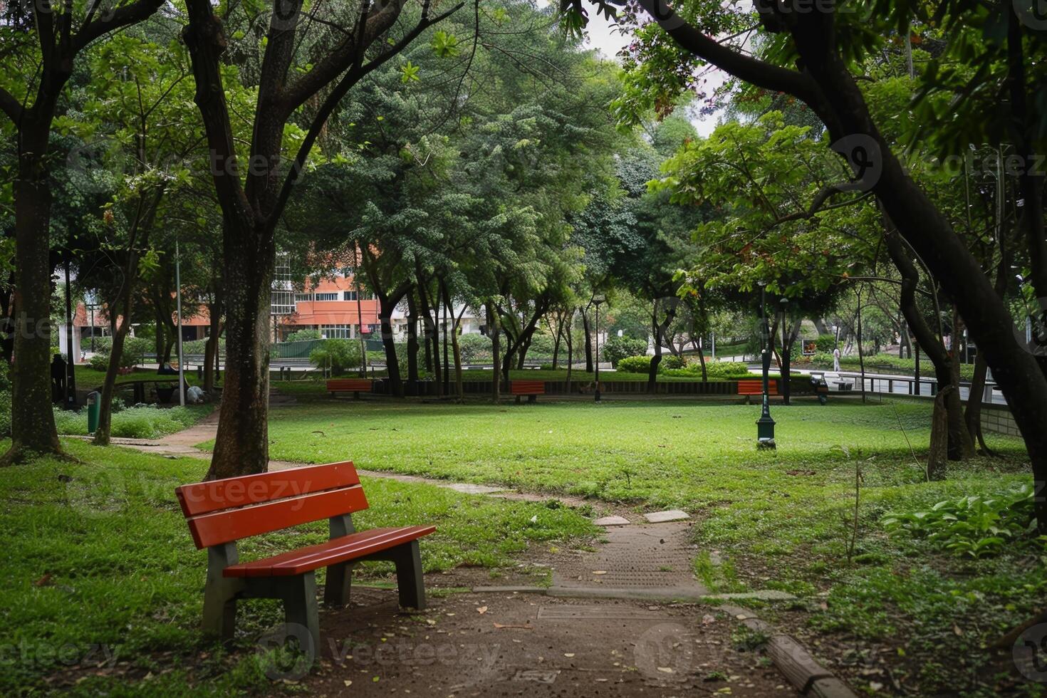 A park with a bench photo