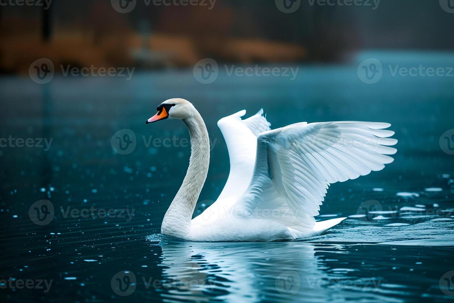 A swan floating on a lake with its wings spread photo