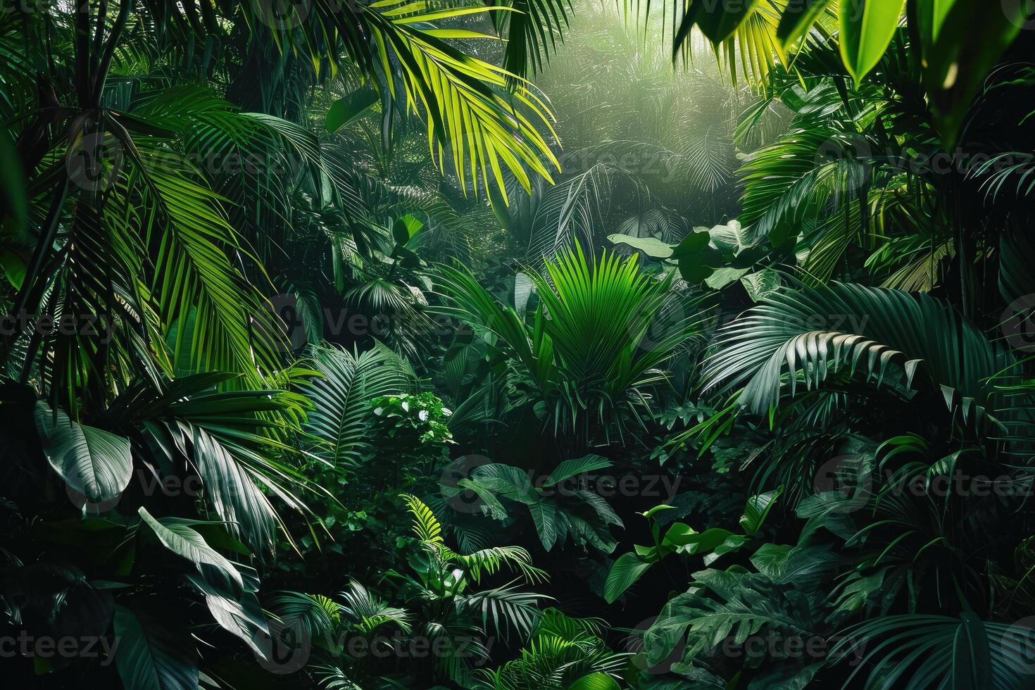 Tropical jungle with green plants and trees photo
