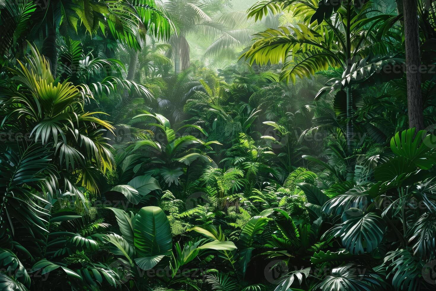 An image of a jungle scene with lots of green plants photo