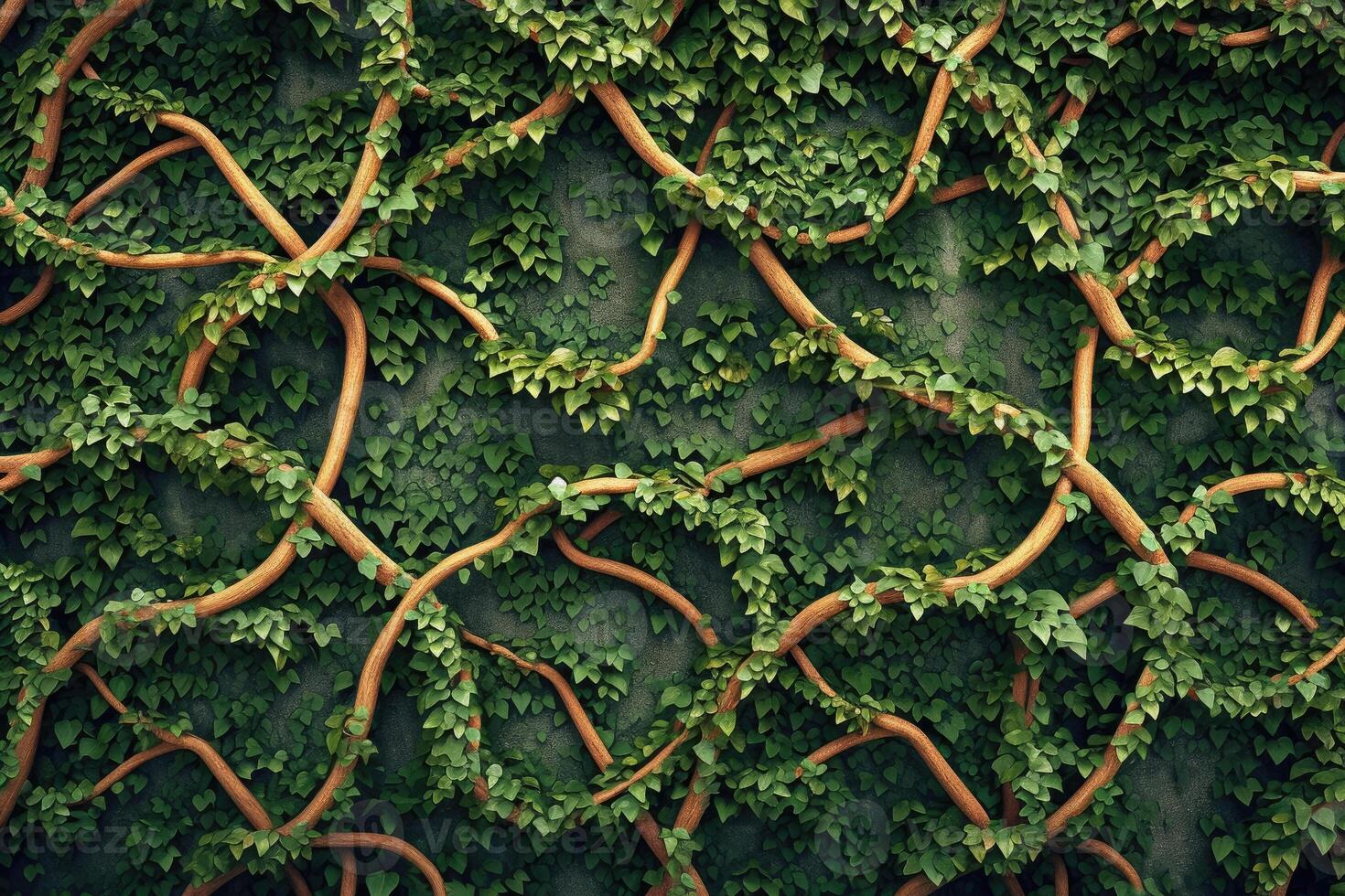 A wall covered in vines and leaves photo