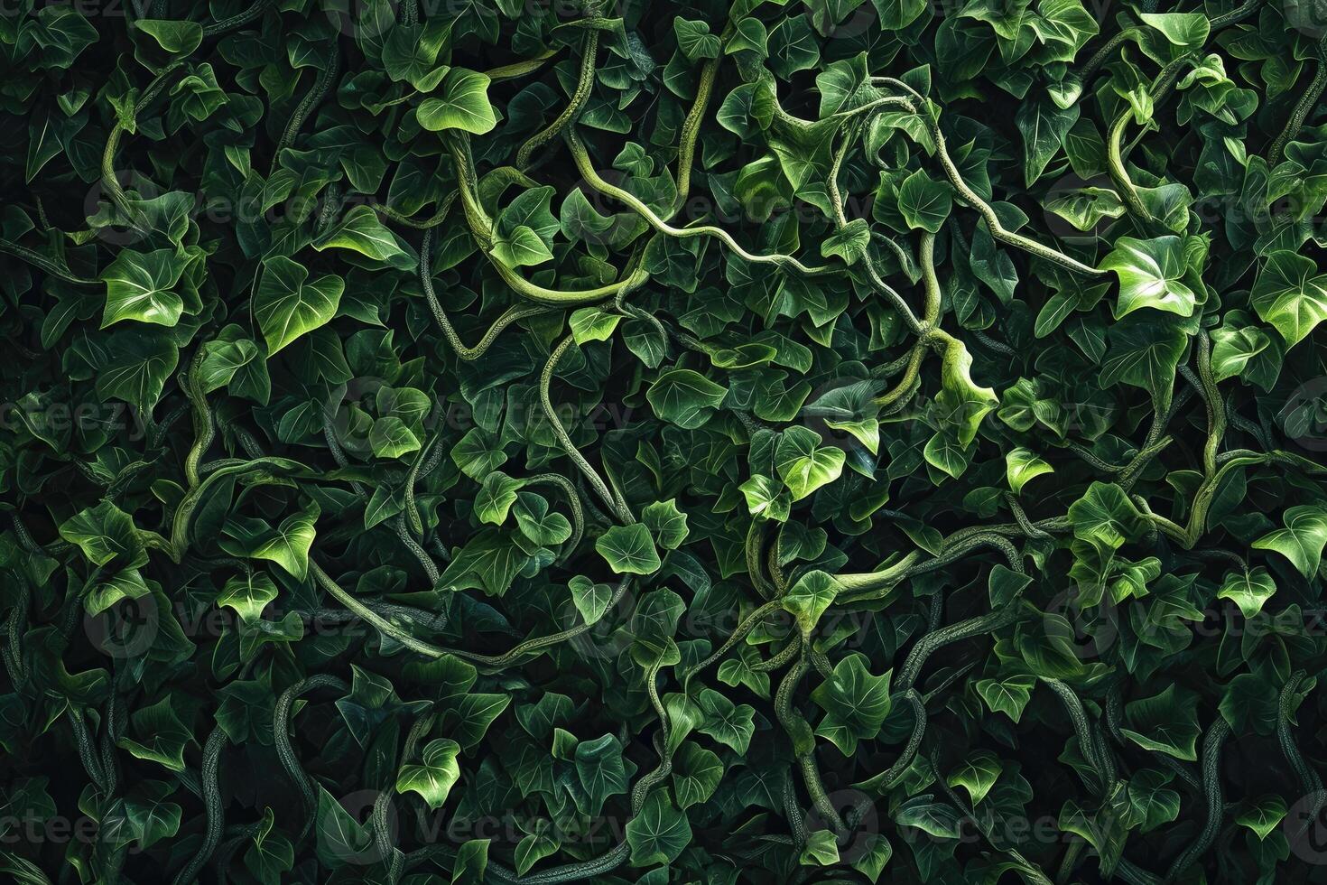 A green wall with ivy vines on it photo