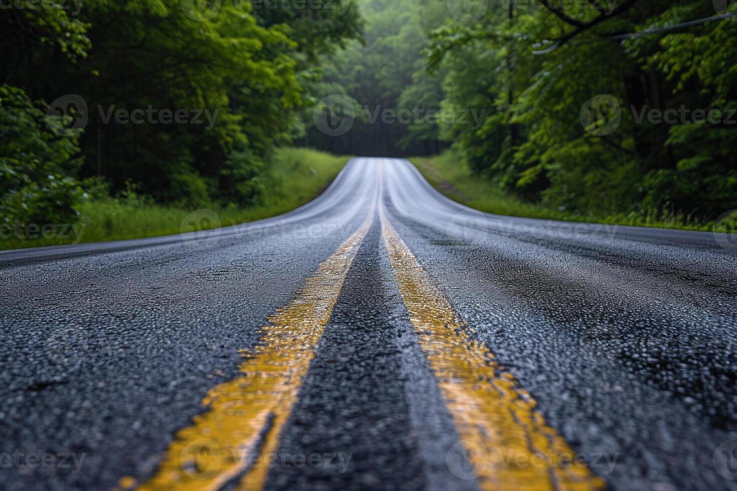 A wet road with yellow lines photo