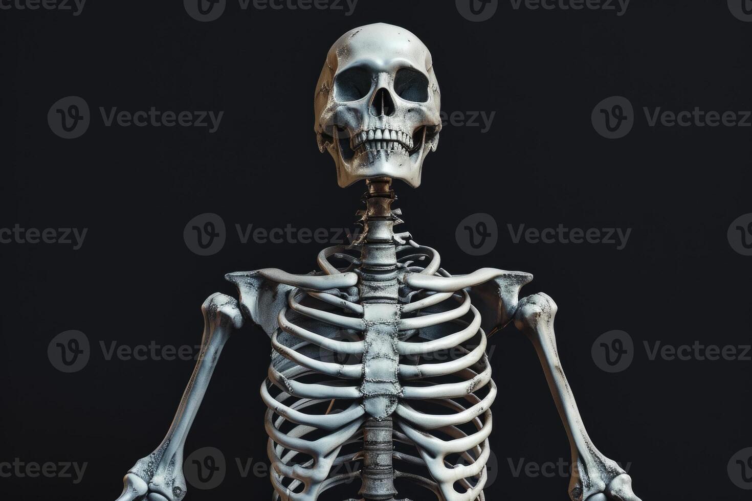 A skeleton is standing in front of a black background photo