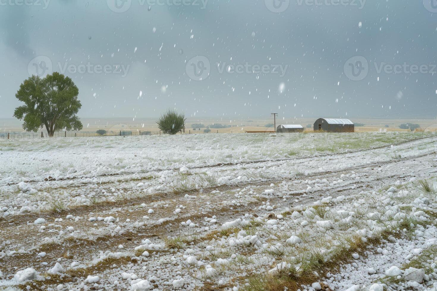A field with snow falling on it photo