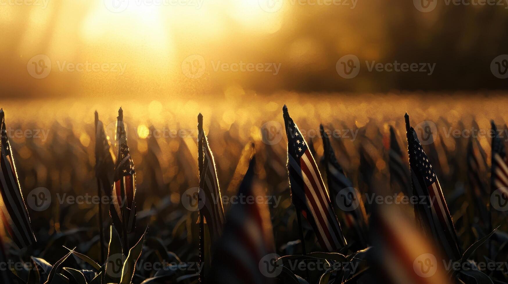 A field of American flags is shown in the sun photo