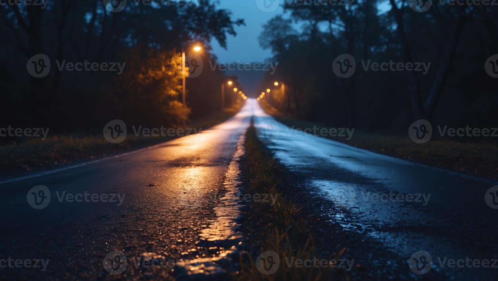 Lonely country road under dim streetlights during evening rain photo