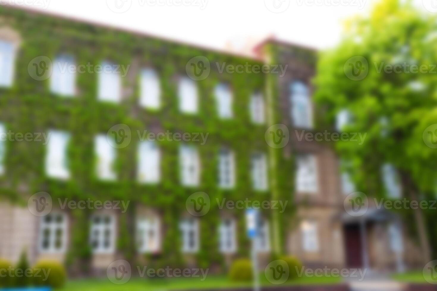 Blurred abstract background photo