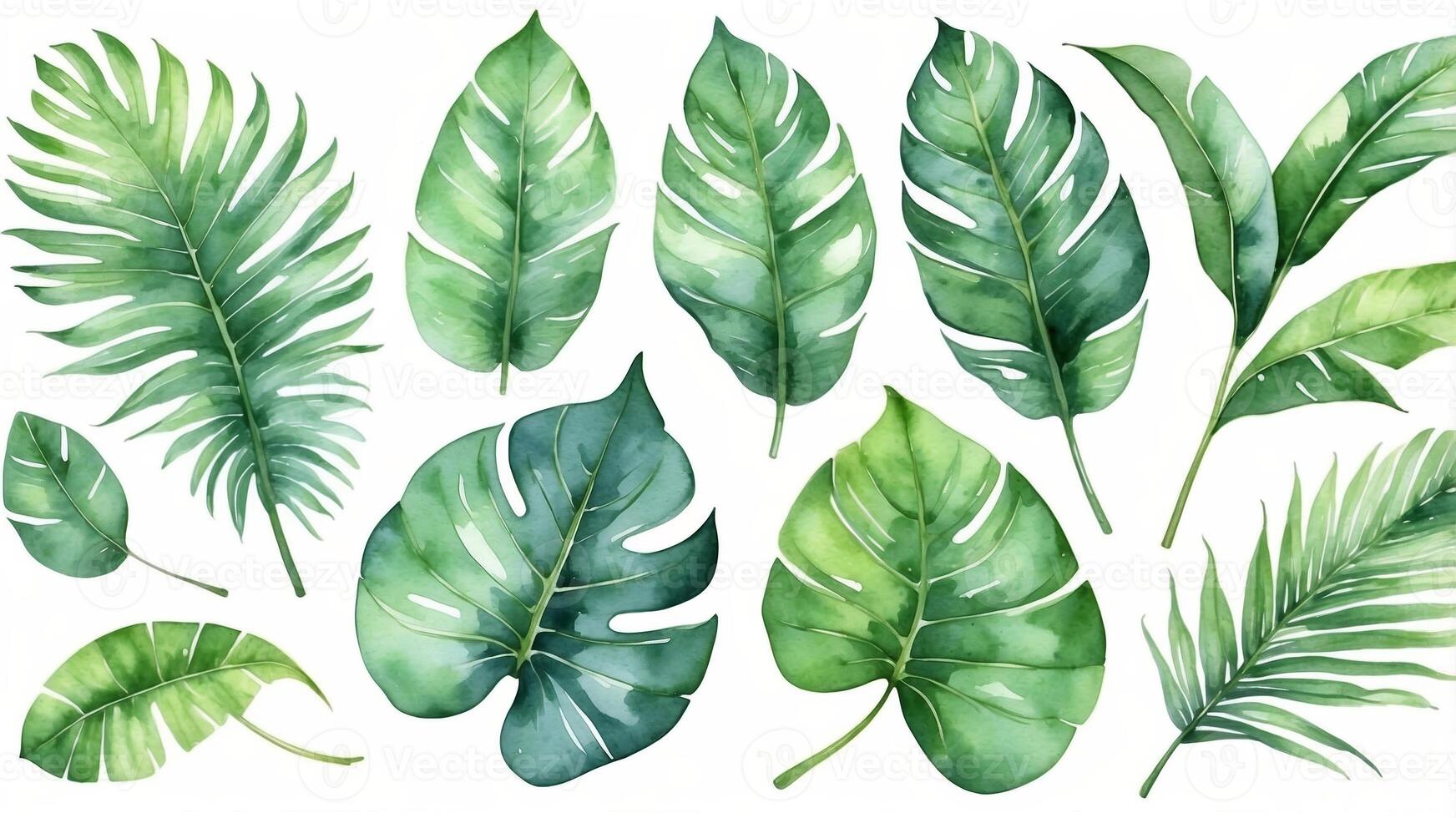 Collection of tropical leaves displayed on a white background showcasing various shades of green and textures in natural arrangement photo