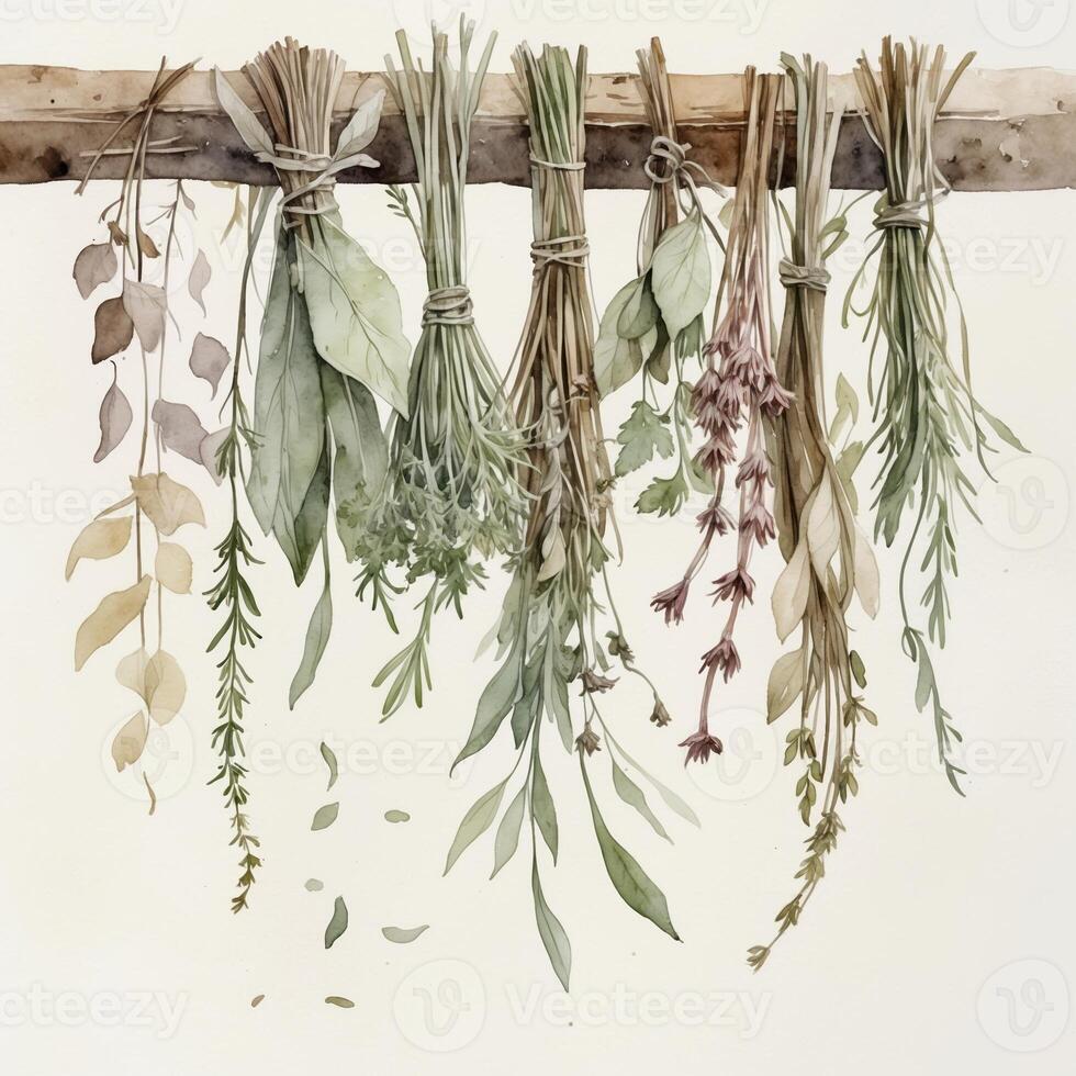 Herbs hanging on a wooden rack in a rustic kitchen for preservation and flavor enhancement photo