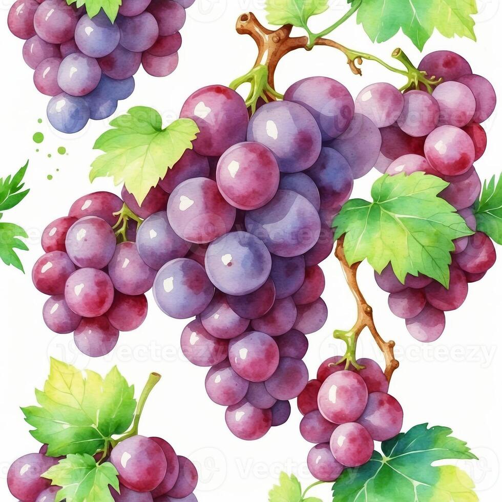 Colorful grapes hanging from vines against a white background in a vibrant still life arrangement photo