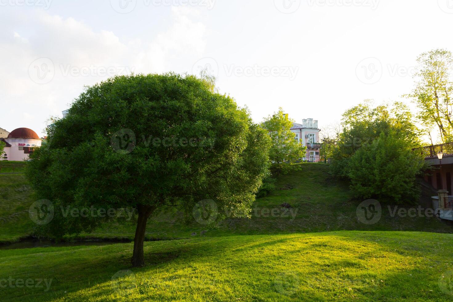 green grass field in big city park photo