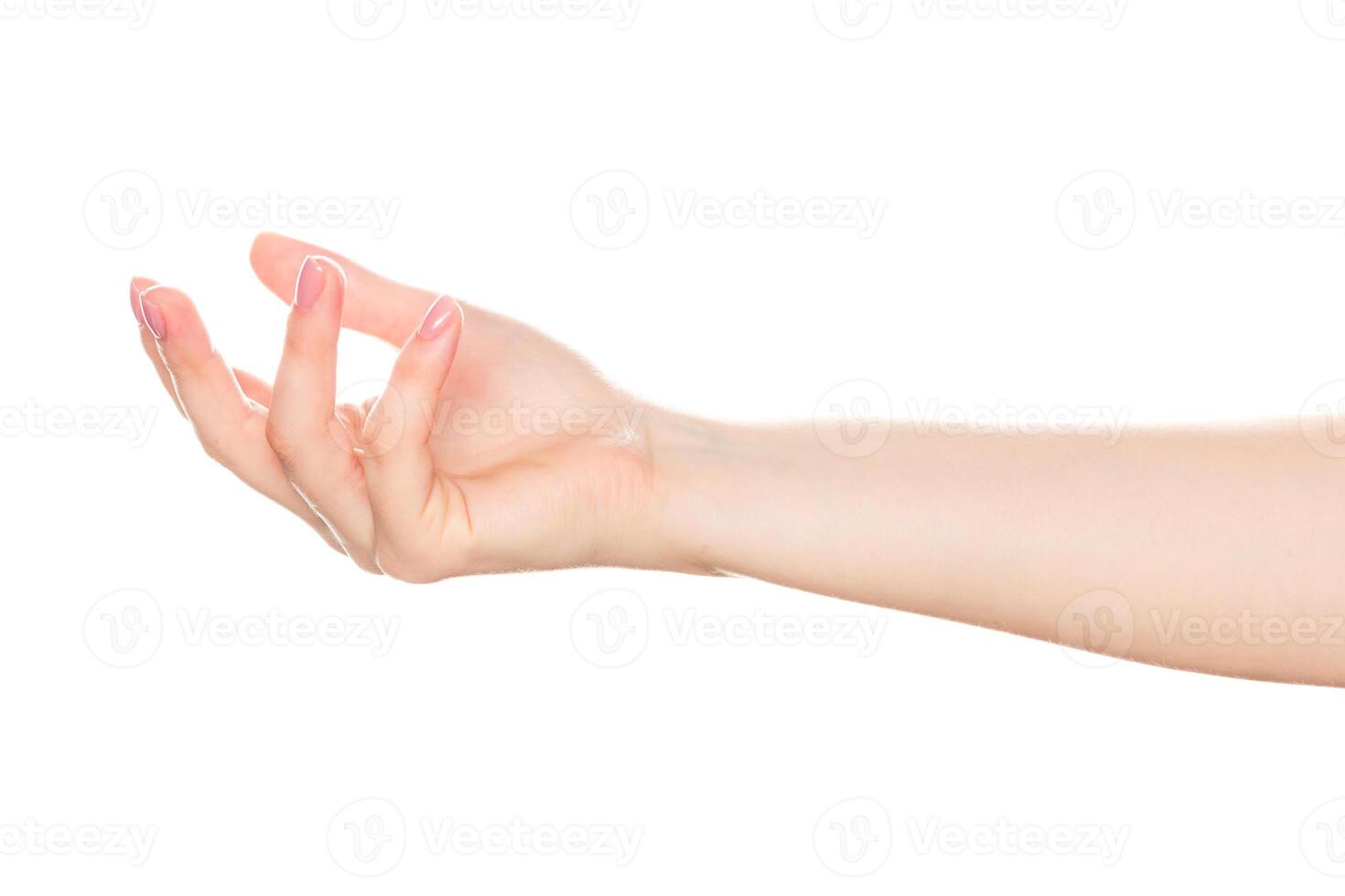 Elegant outstretched hand against a plain background showcasing grace and poise in a serene moment photo