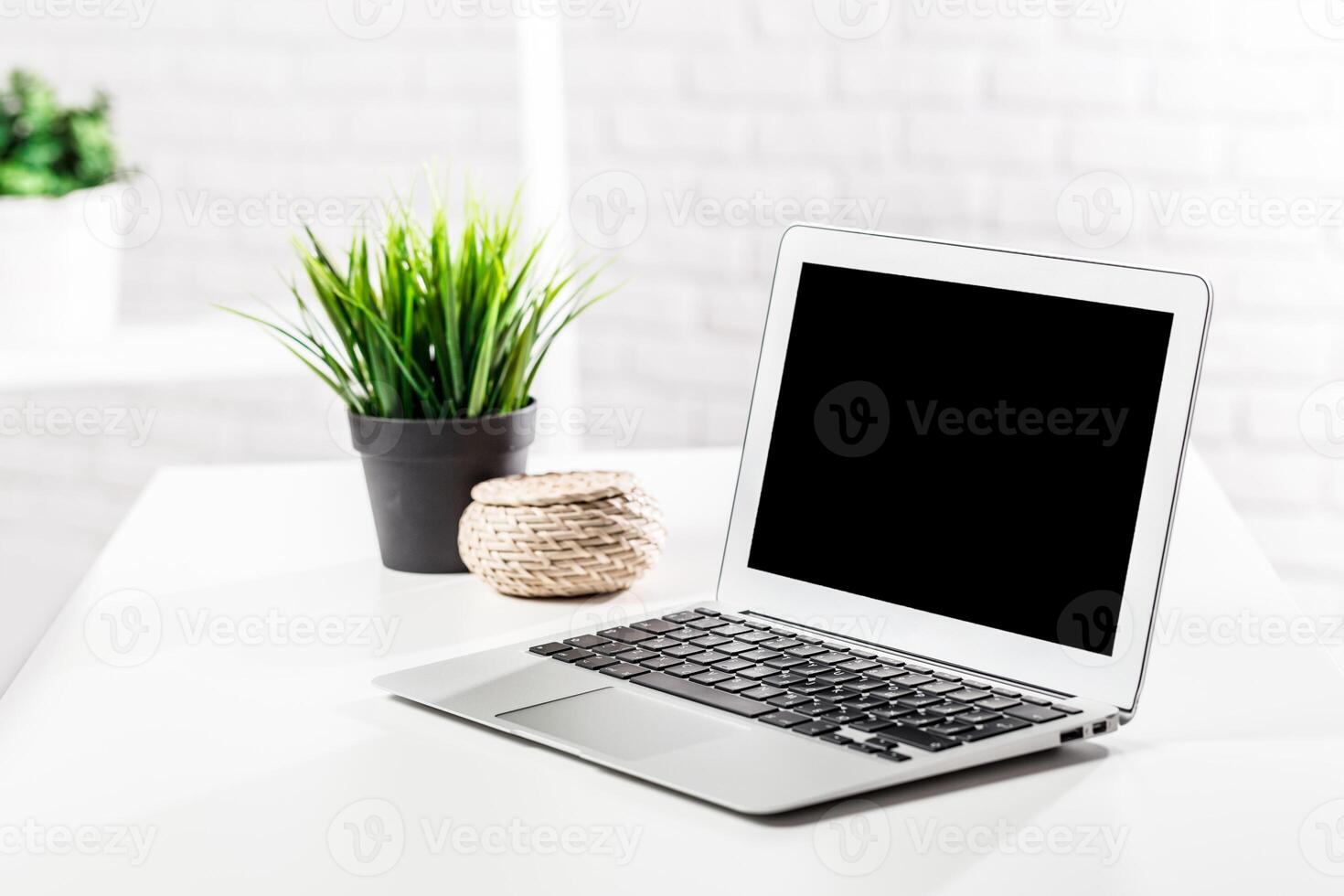 Modern workspace featuring a laptop and decorative plants in a bright and minimalistic environment photo