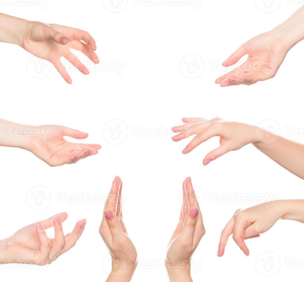 Multiple hands reaching out in a collaborative gesture against a white background photo