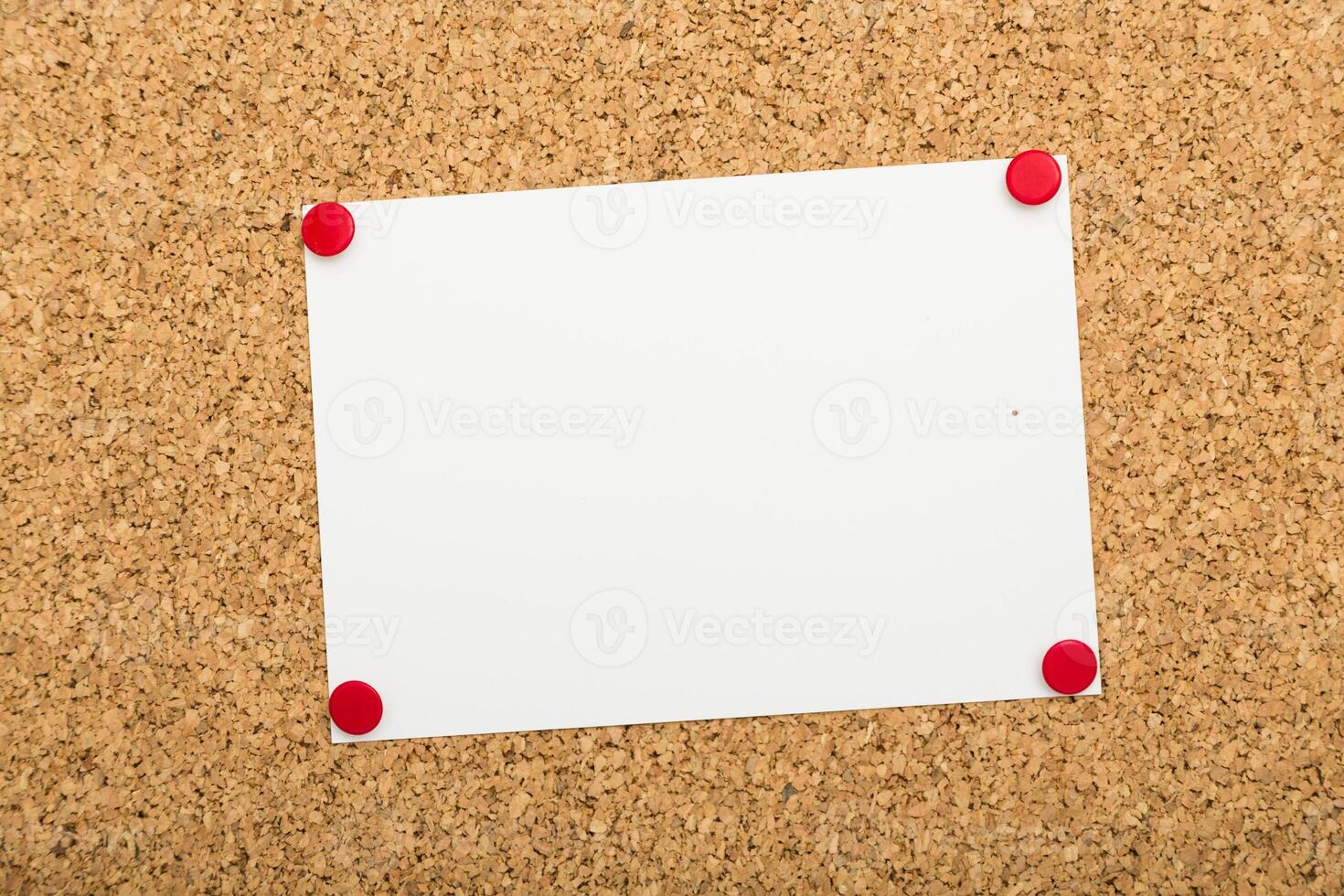 Blank notice board with red push pins holding a white sheet in a casual office environment photo