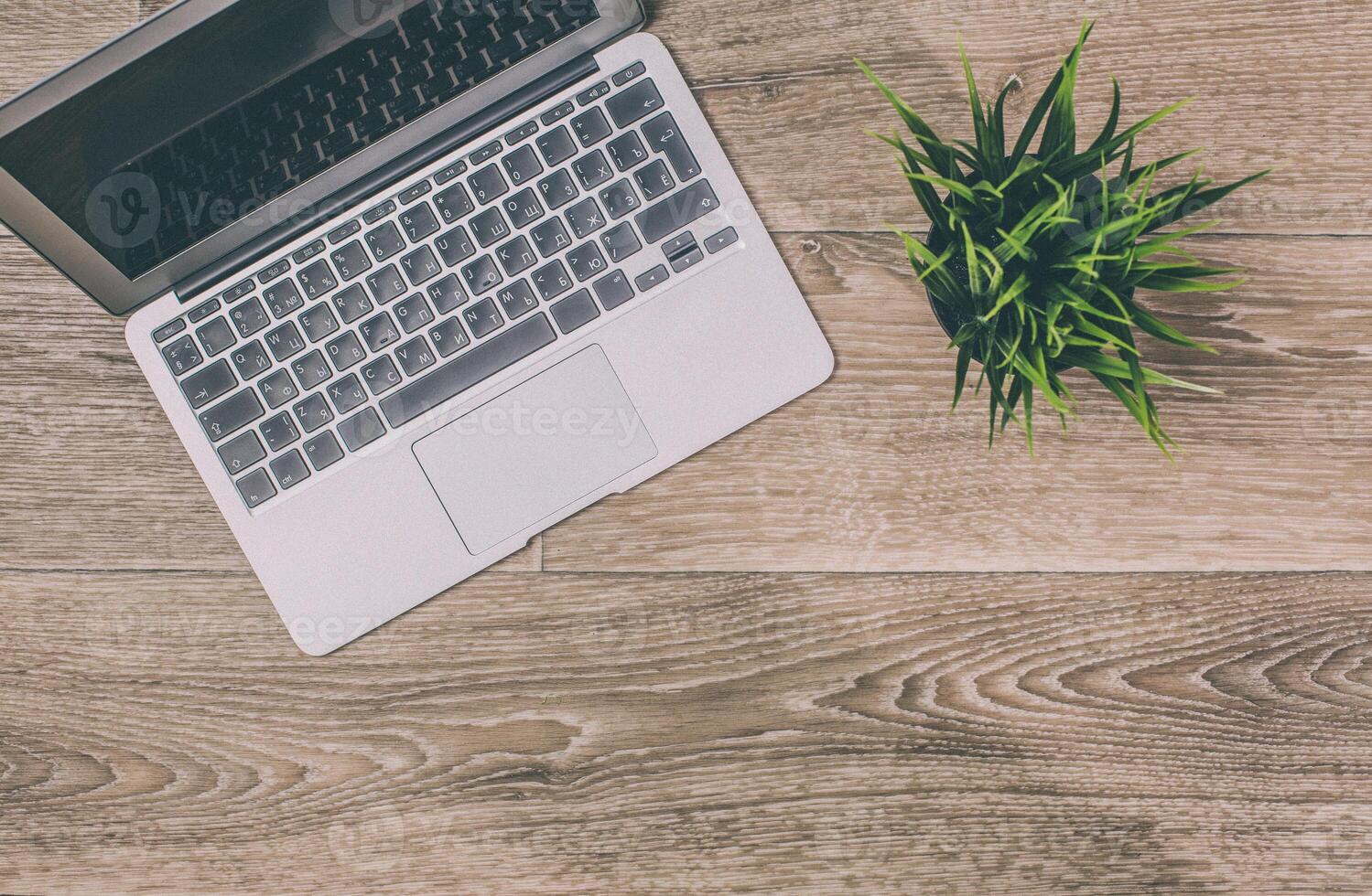 Workspace with laptop and potted plant on wooden desk in a cozy environment for productivity photo