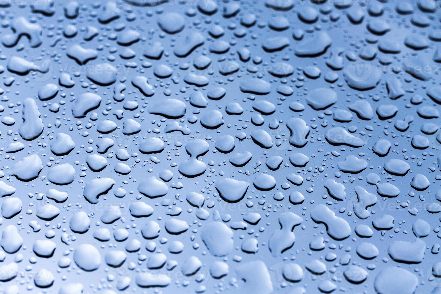 Raindrops collect on a sleek surface, creating a shimmering visual display under natural light photo