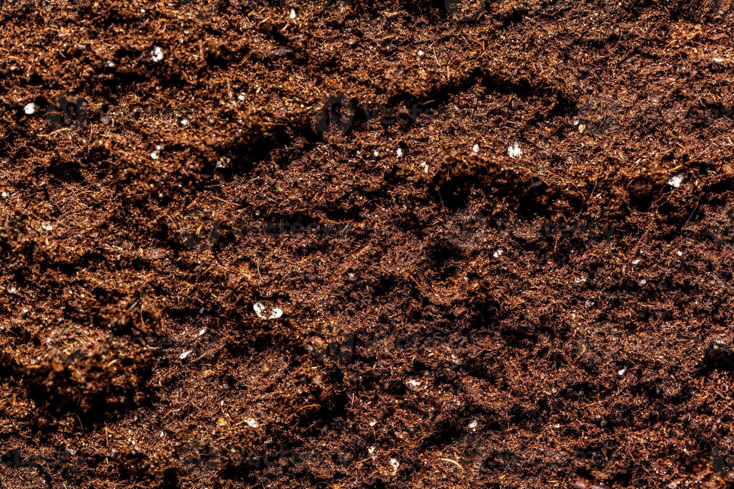 The texture of the macro ground photo