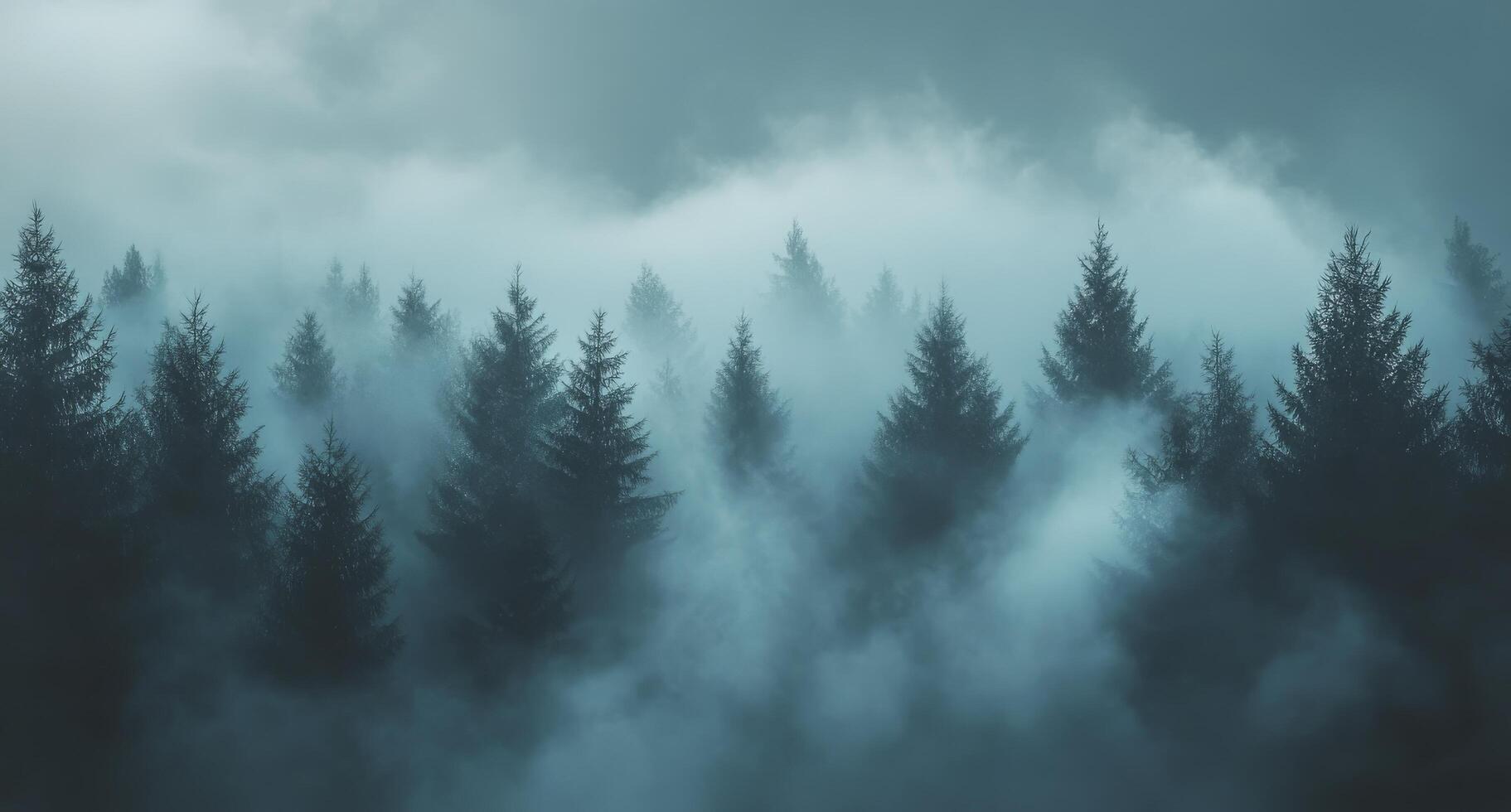 A forest with trees and fog photo