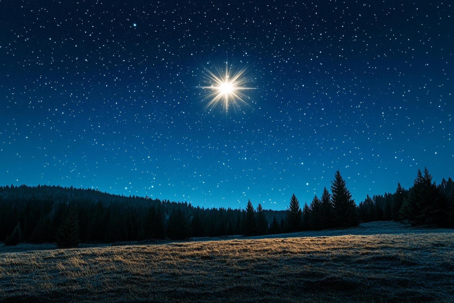 A star shines brightly in the sky over a field photo