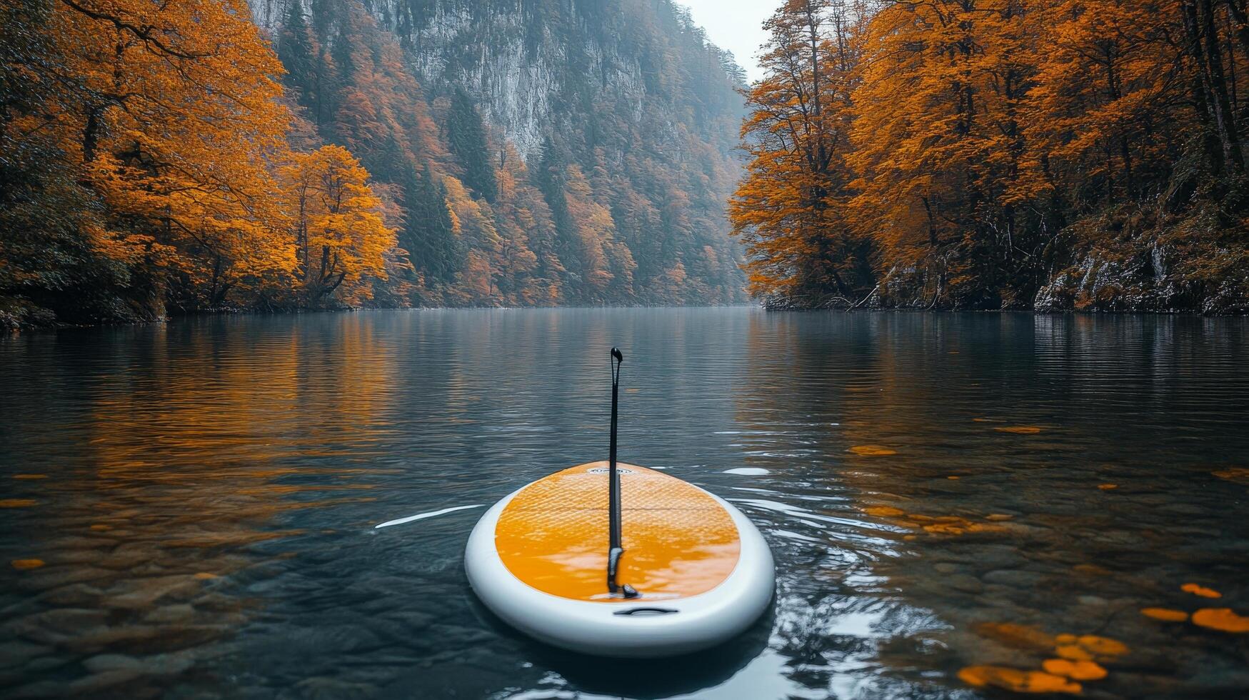 A paddle board floating in the water near a forest photo