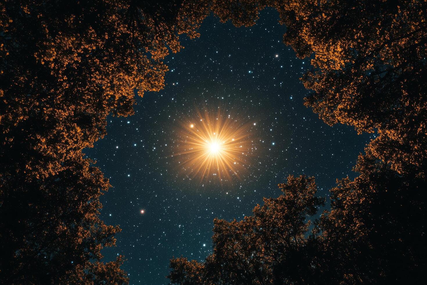 The star is shining brightly in the sky above trees photo