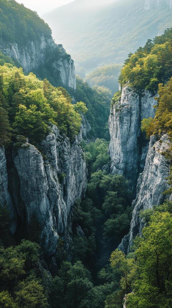 A view of a canyon in the mountains with trees photo