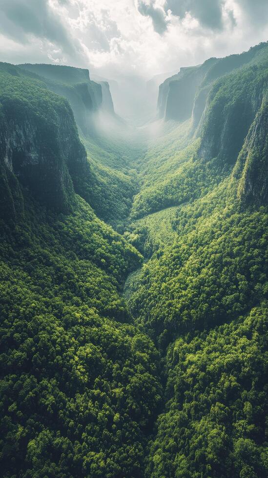 A valley surrounded by green trees and mountains photo