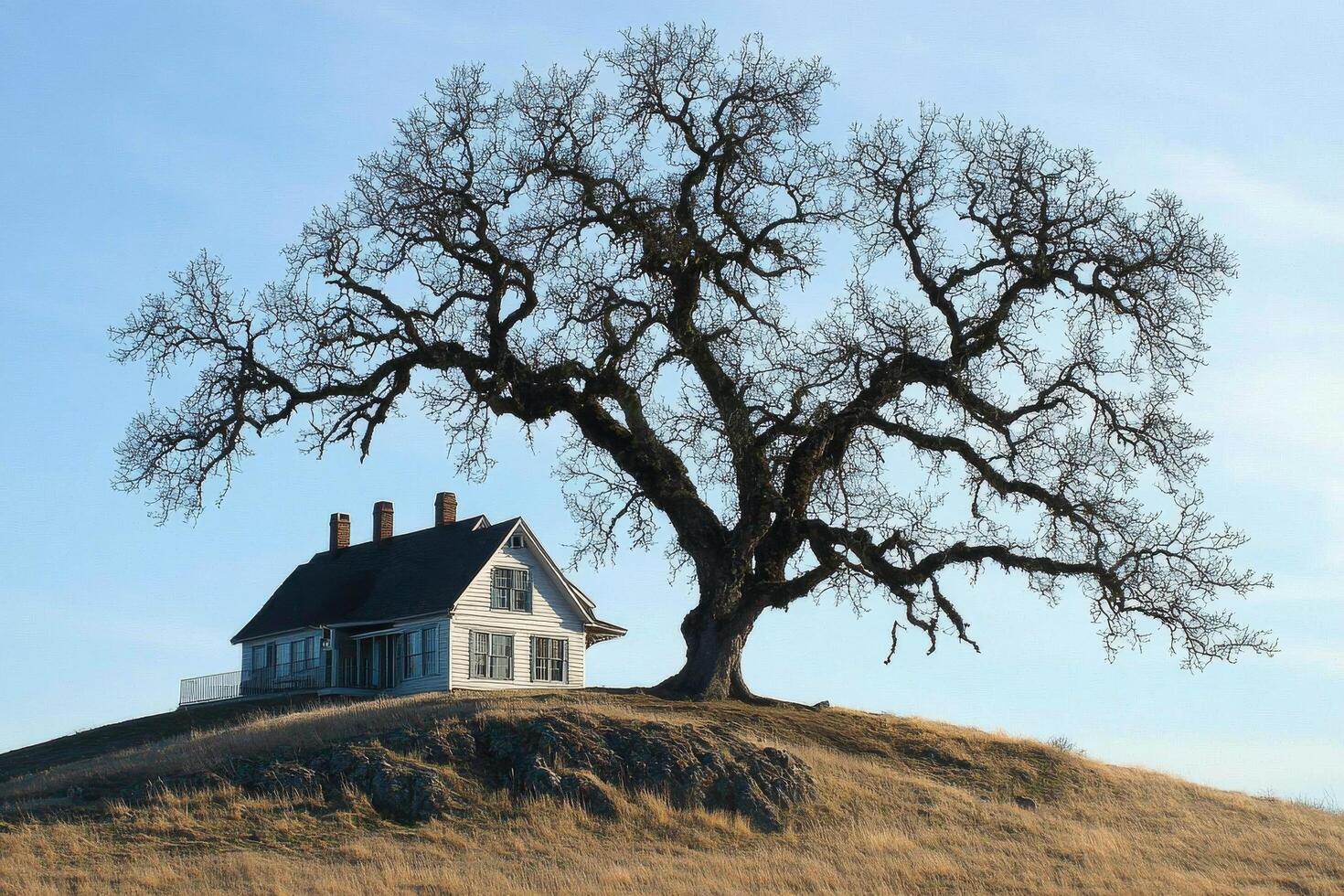 Historic house beside a large tree on a hill under a clear blue sky photo