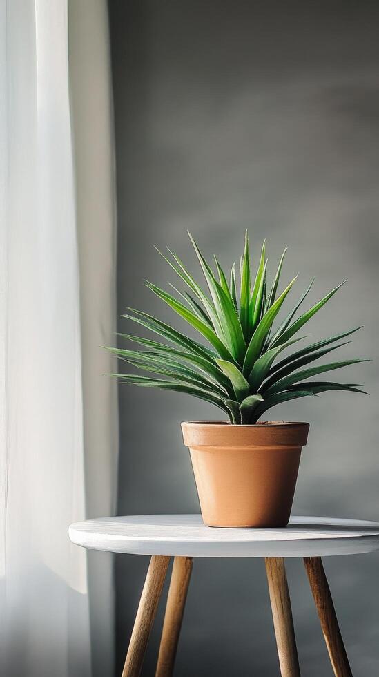A potted plant sits on a table in front of a window photo