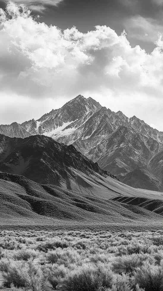 Black and white photo of mountains in the desert