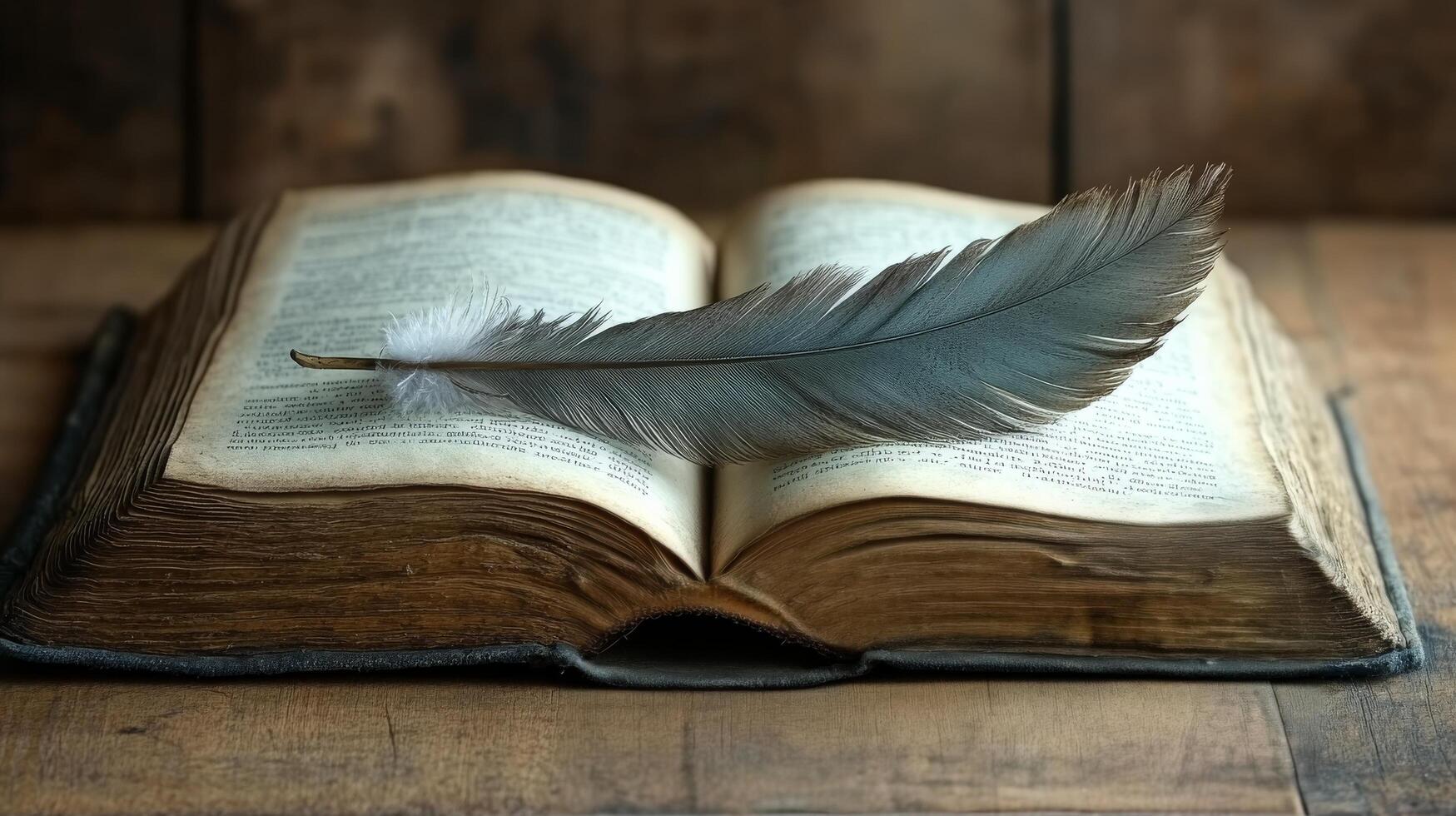 An open book with a feather on top photo