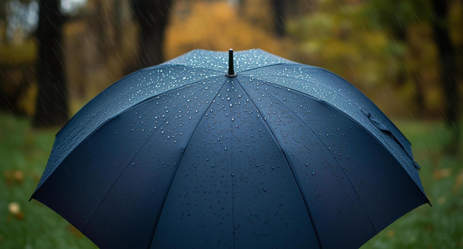 Dark umbrella with raindrops under trees in autumn landscape photo