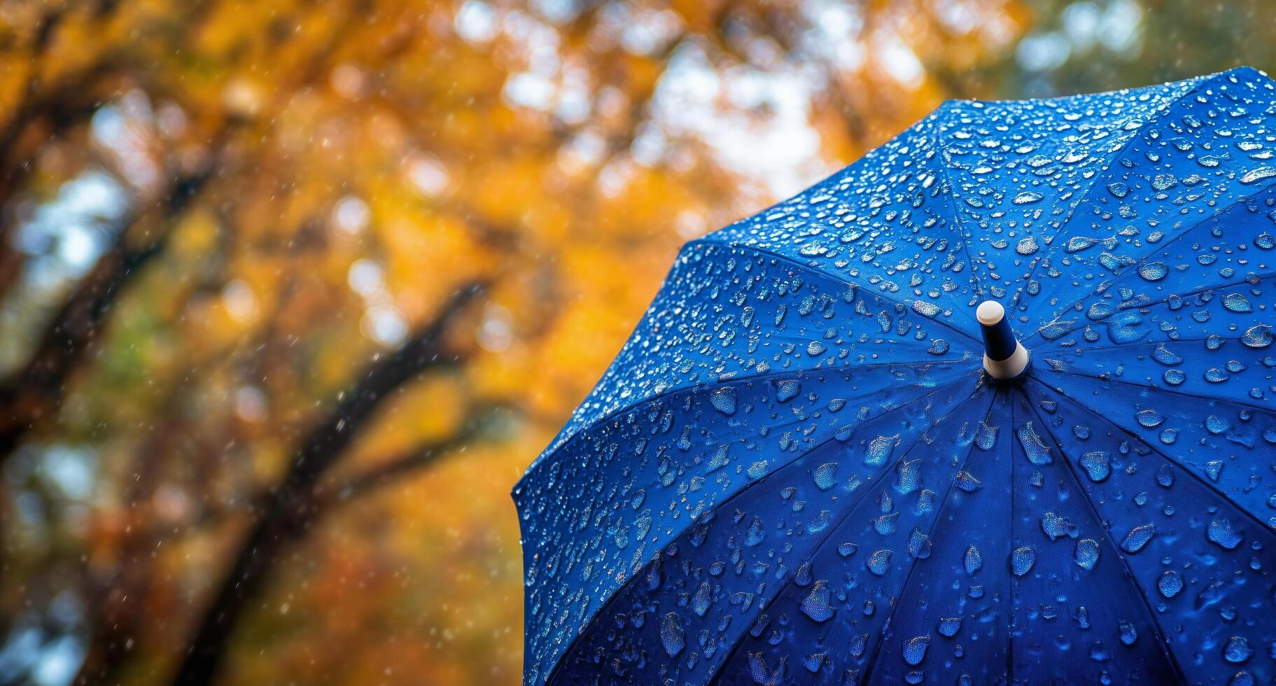 Bright blue umbrella caught in rain with autumn foliage in the background during a rainy day photo