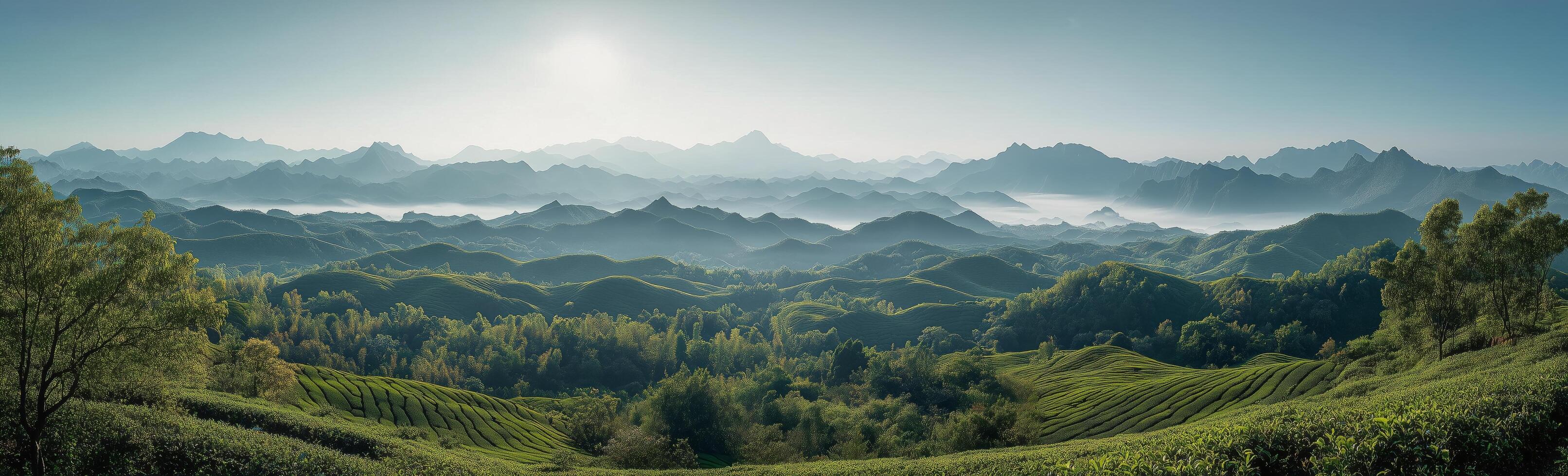 Lush green hills and misty mountains in a serene landscape at dawn photo