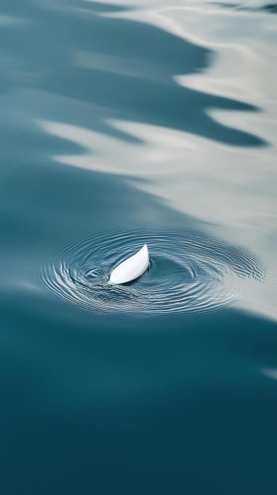 A white object floating in the water photo
