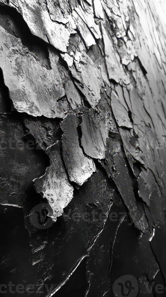 Abstract art showcases texture and contrast in black and silver photo