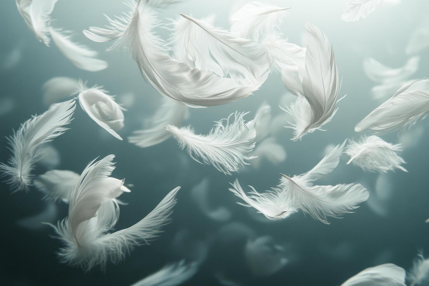 White feathers floating in the air on a dark background photo