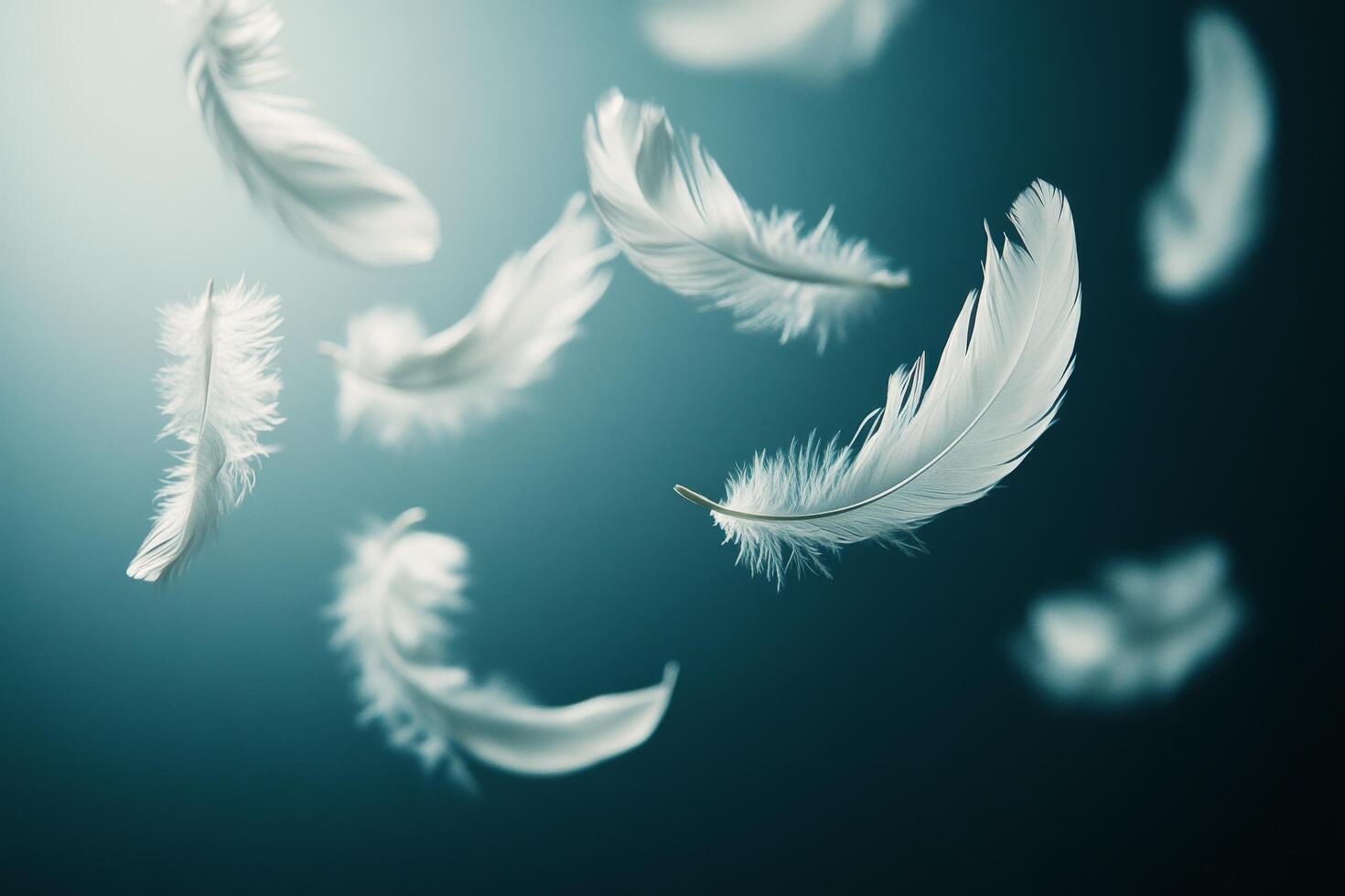 White feathers flying in the air on a dark background photo
