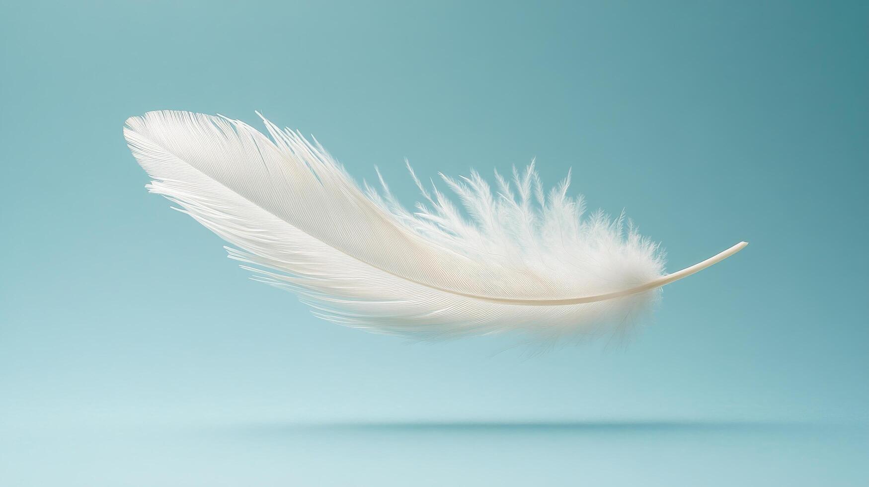 Soft white feather floating gracefully against a tranquil blue background in natural light photo