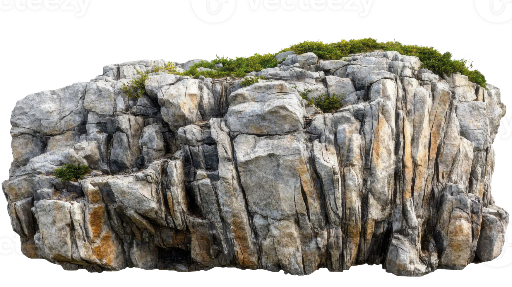 A rock formation with plants growing on it png