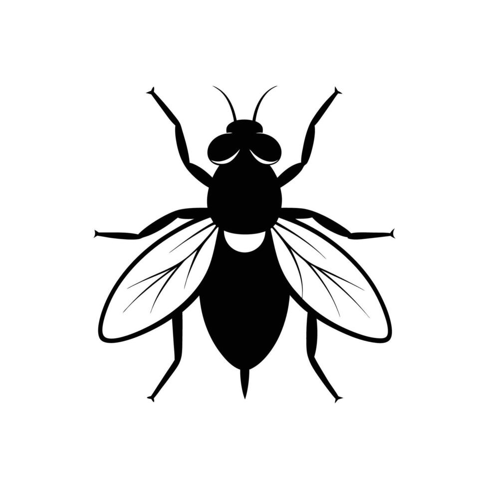 A Fly illustration vector