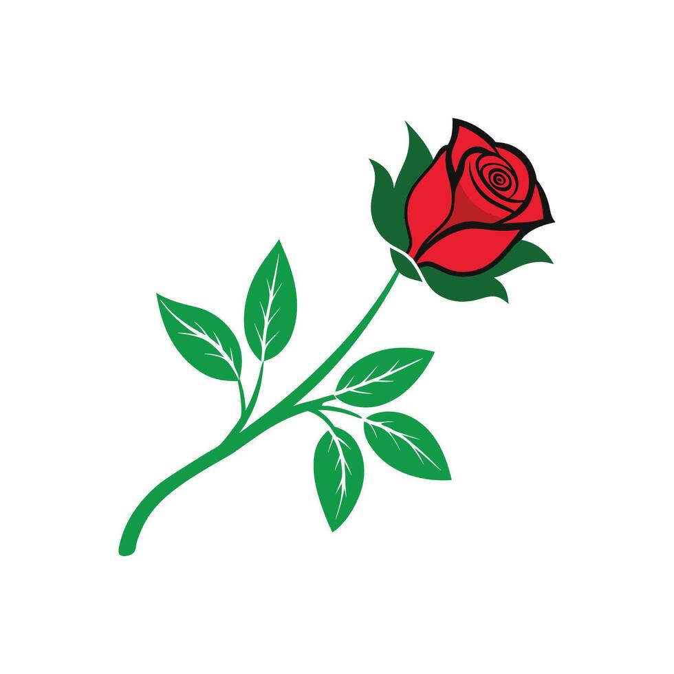 A red rose with green leaves on a white background vector